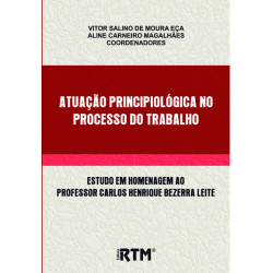 ATUAÇÃO PRINCIPIOLÓGICA NO PROCESSO DO TRABALHO