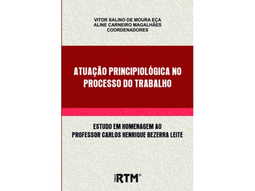 ATUAÇÃO PRINCIPIOLÓGICA NO PROCESSO DO TRABALHO