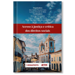 Acesso à justiça e crítica dos direitos sociais